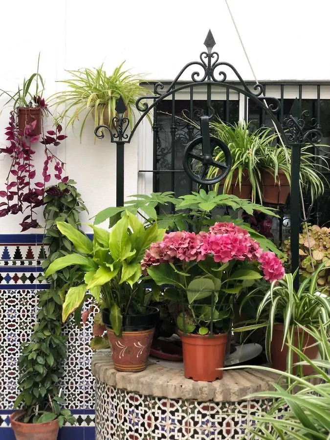 Guest house Hostal Mellizo Lebrija
